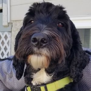 Meet your Posher, Jenn